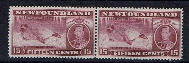 Image of Canada-Newfoundland SG 263ca LMM British Commonwealth Stamp